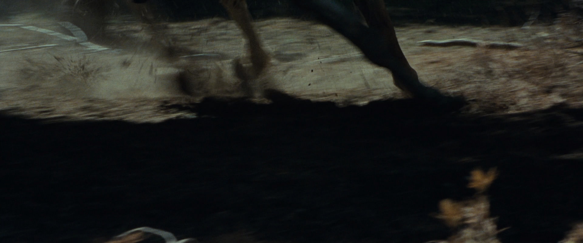 The Lord of the Rings: The Fellowship of the Ring (2001) screencap 9582