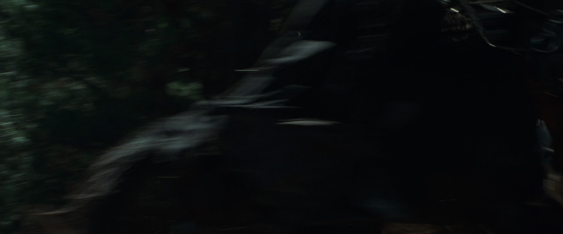 The Lord of the Rings: The Fellowship of the Ring (2001) screencap 9585