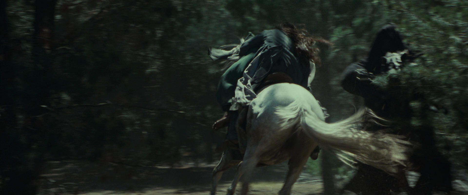 The Lord of the Rings: The Fellowship of the Ring (2001) screencap 9588