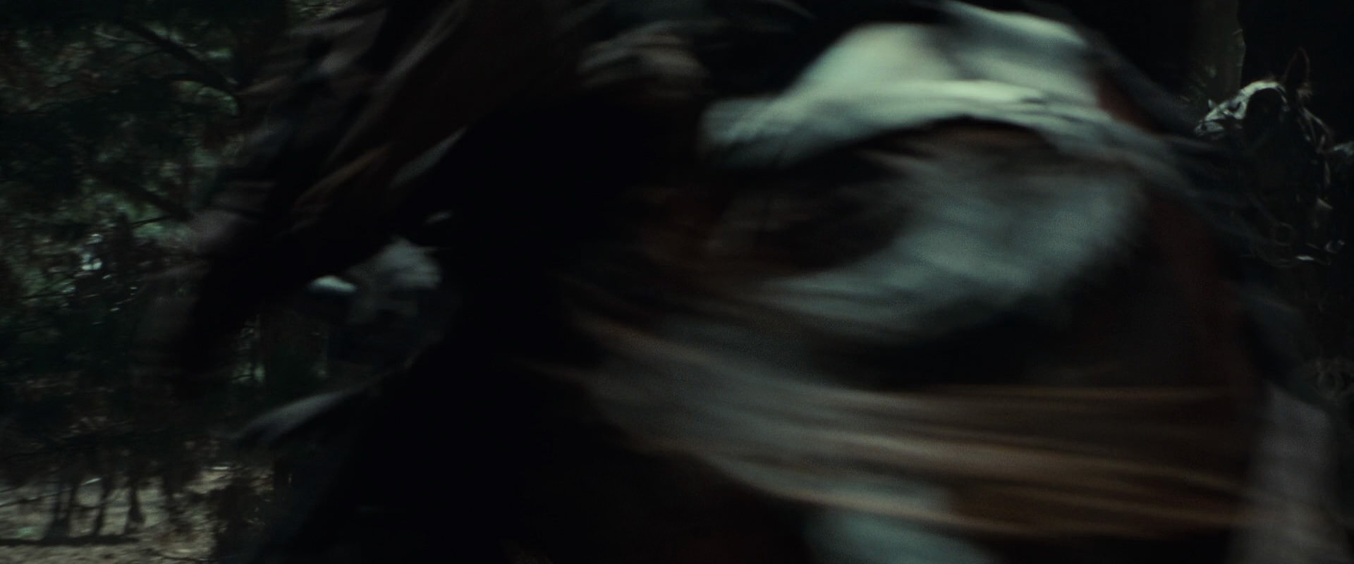 The Lord of the Rings: The Fellowship of the Ring (2001) movie still 9589