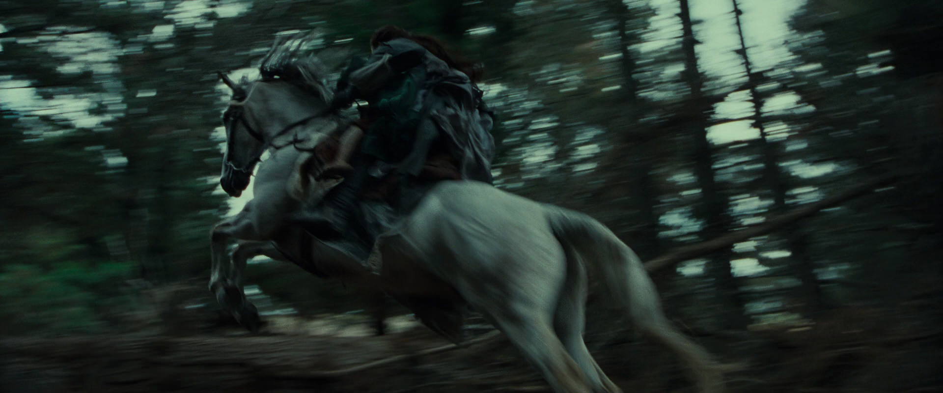 The Lord of the Rings: The Fellowship of the Ring (2001) screencap 9591