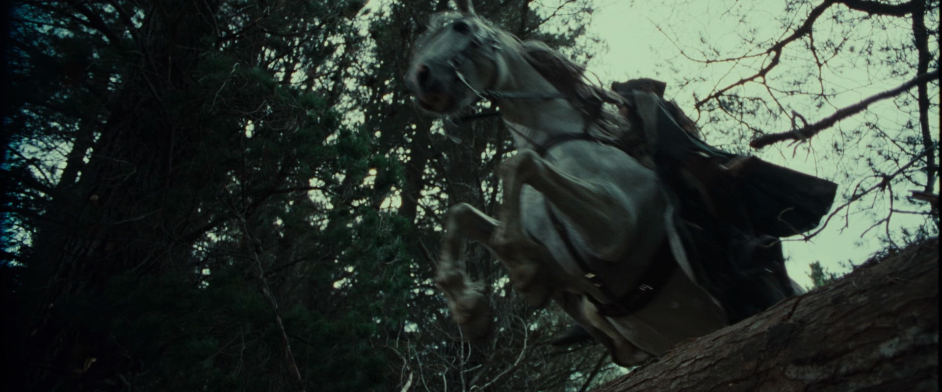 The Lord of the Rings: The Fellowship of the Ring (2001) movie still 9592