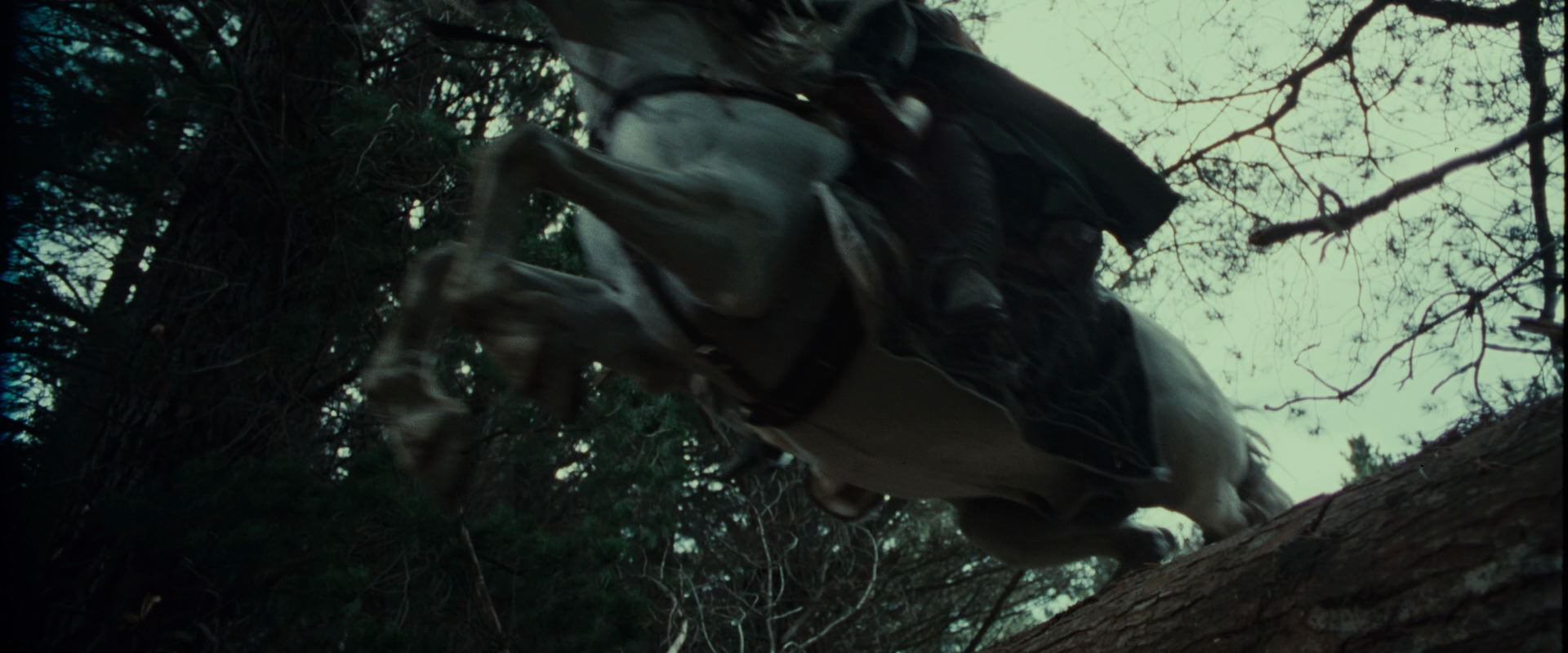The Lord of the Rings: The Fellowship of the Ring (2001) HD screenshot 9593