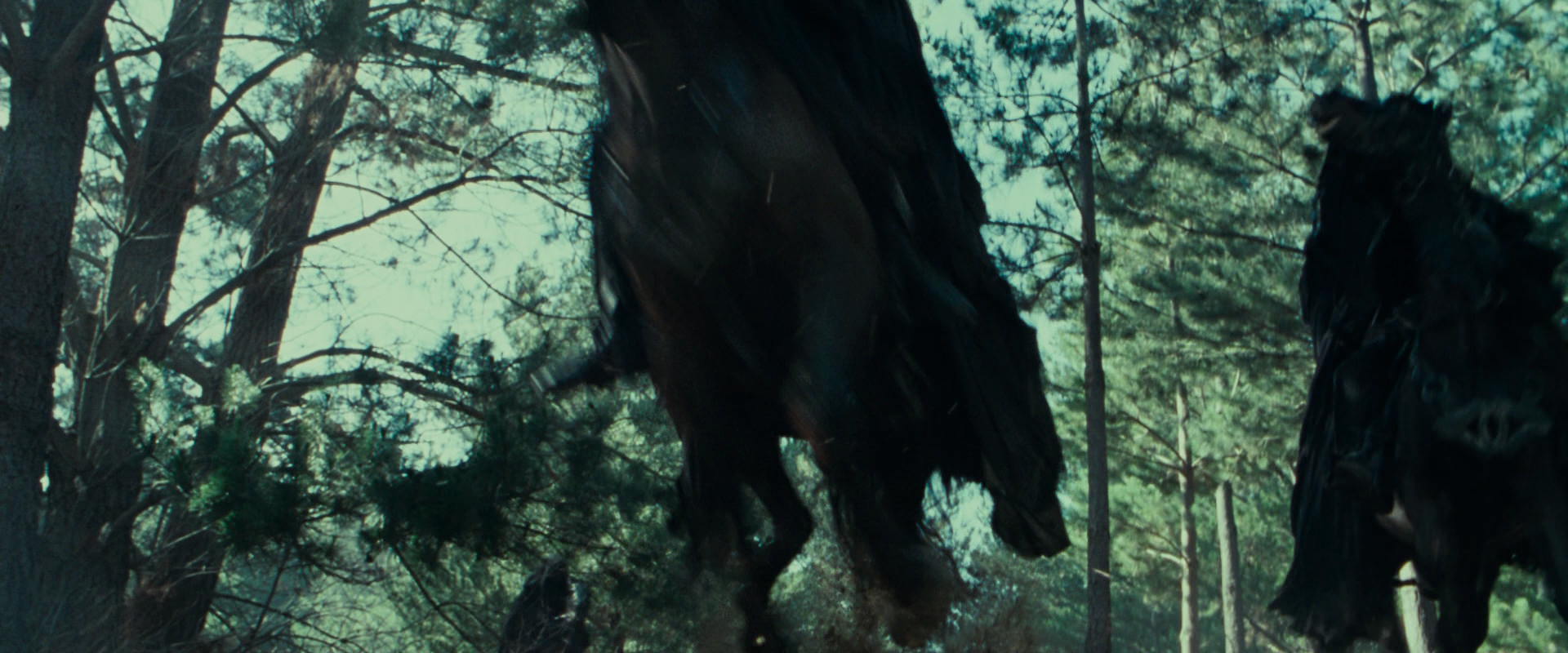 The Lord of the Rings: The Fellowship of the Ring (2001) HD screenshot 9596