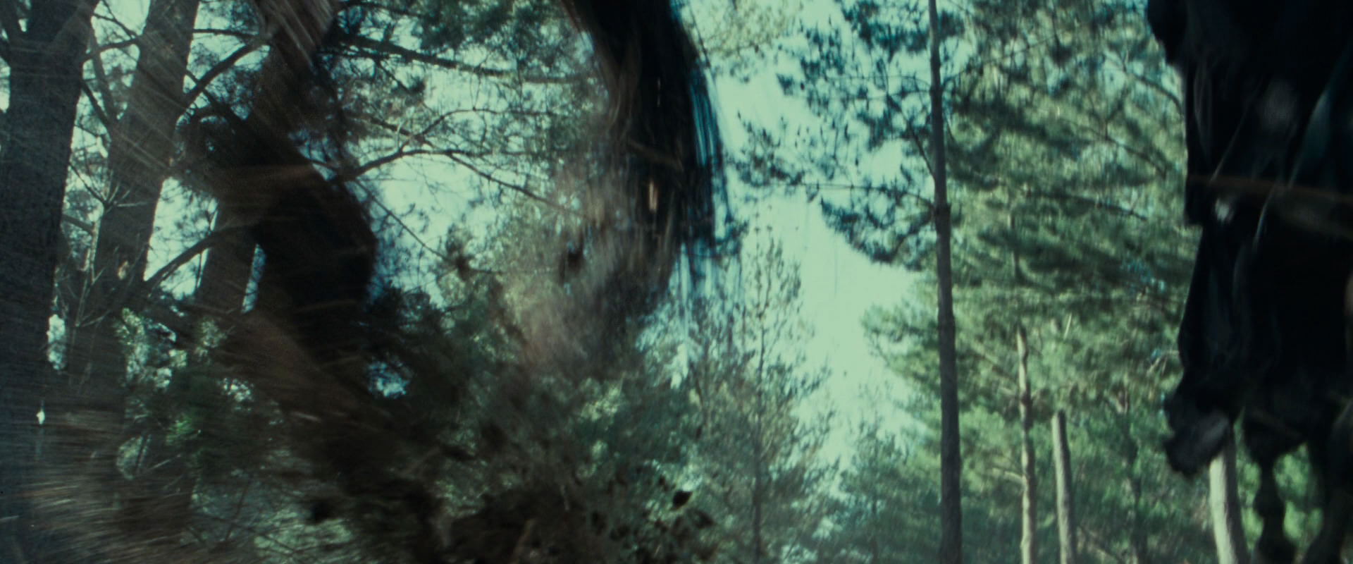 The Lord of the Rings: The Fellowship of the Ring (2001) screencap 9597