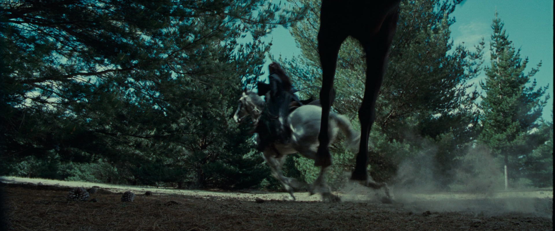 The Lord of the Rings: The Fellowship of the Ring (2001) movie still 9598