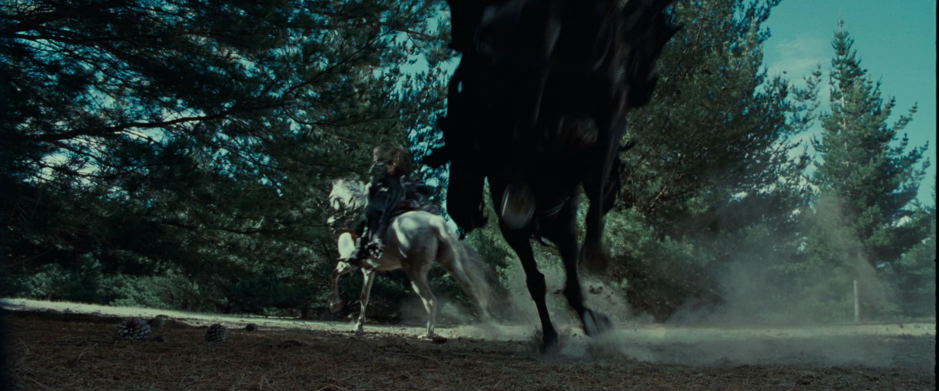 The Lord of the Rings: The Fellowship of the Ring (2001) HD screenshot 9599