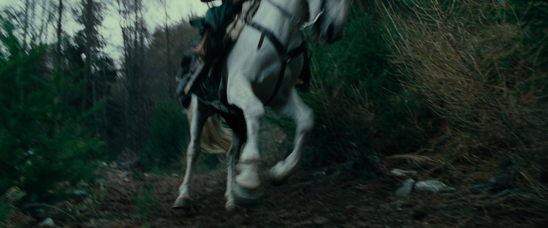 The Lord of the Rings: The Fellowship of the Ring (2001) screencap 9600