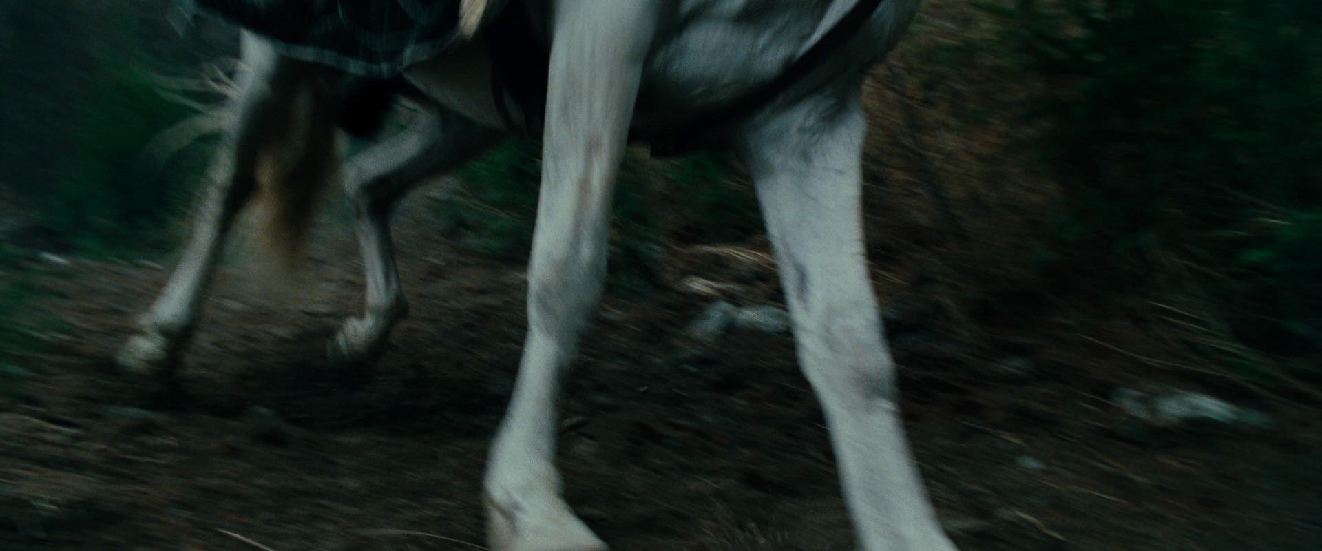The Lord of the Rings: The Fellowship of the Ring (2001) movie still 9601