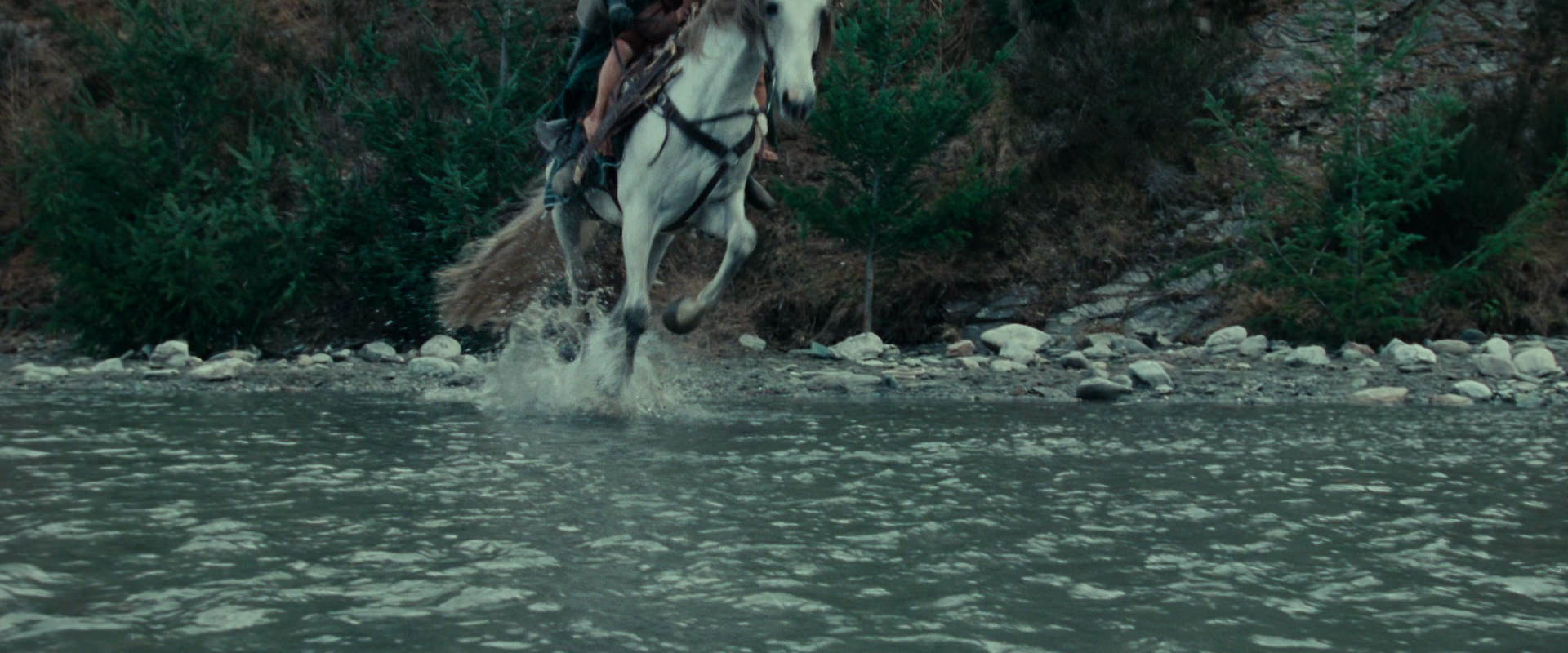 The Lord of the Rings: The Fellowship of the Ring (2001) screencap 9606