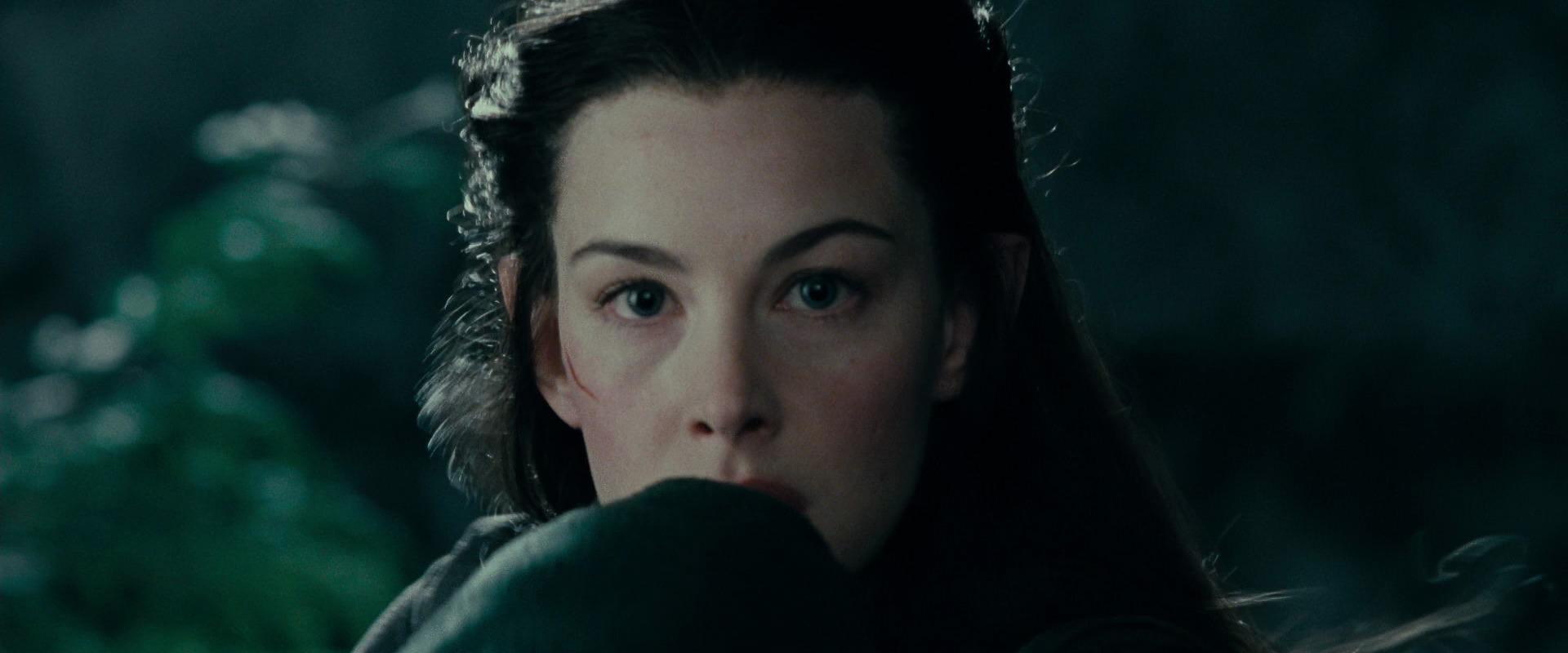 The Lord of the Rings: The Fellowship of the Ring (2001) HD screenshot 9620