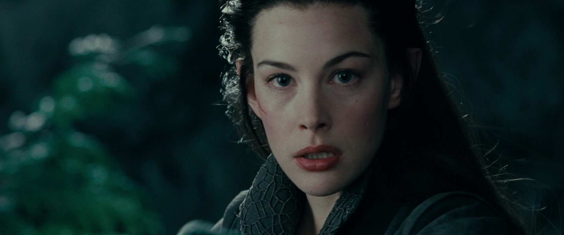 The Lord of the Rings: The Fellowship of the Ring (2001) screencap 9621