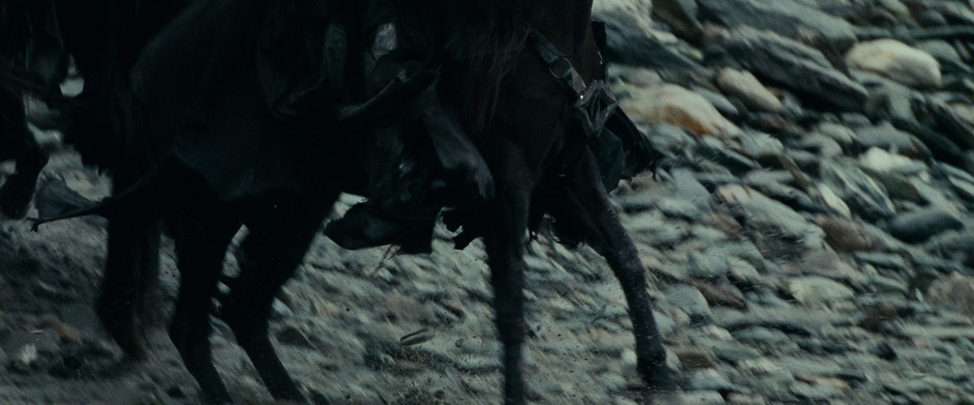 The Lord of the Rings: The Fellowship of the Ring (2001) screencap 9624