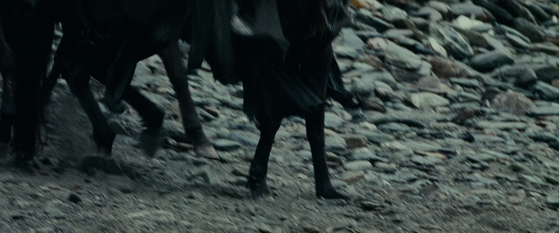 The Lord of the Rings: The Fellowship of the Ring (2001) movie still 9625