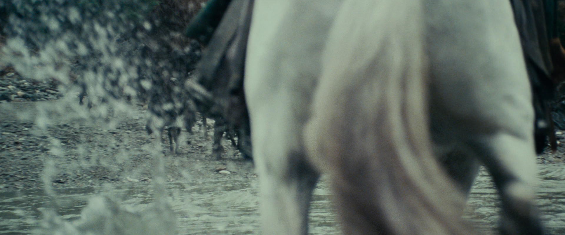 The Lord of the Rings: The Fellowship of the Ring (2001) movie still 9628