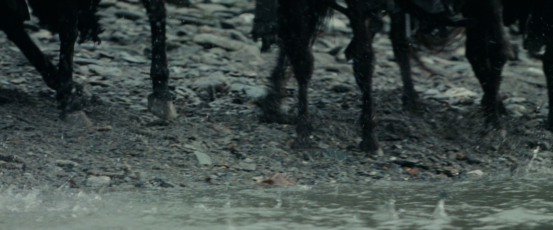 The Lord of the Rings: The Fellowship of the Ring (2001) HD screenshot 9635