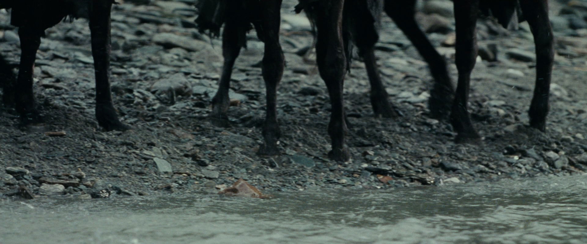 The Lord of the Rings: The Fellowship of the Ring (2001) screencap 9636