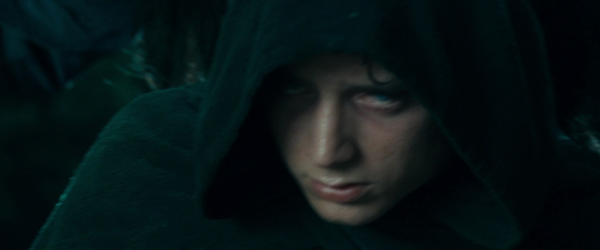 The Lord of the Rings: The Fellowship of the Ring (2001) HD screenshot 9644
