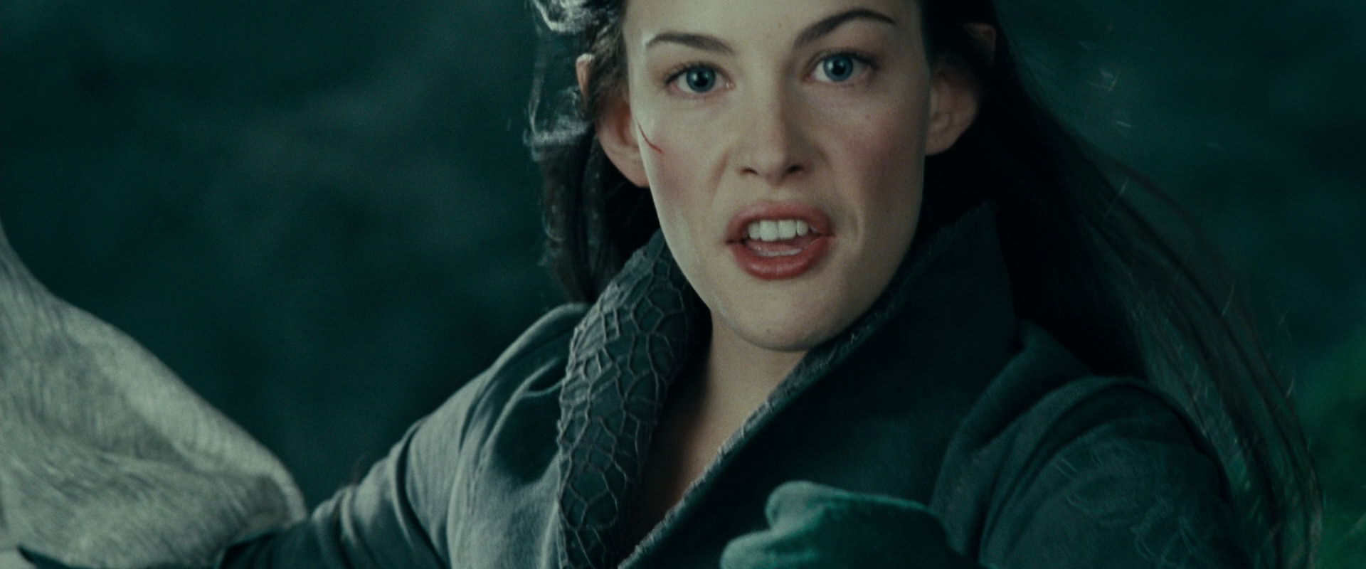 The Lord of the Rings: The Fellowship of the Ring (2001) screencap 9648