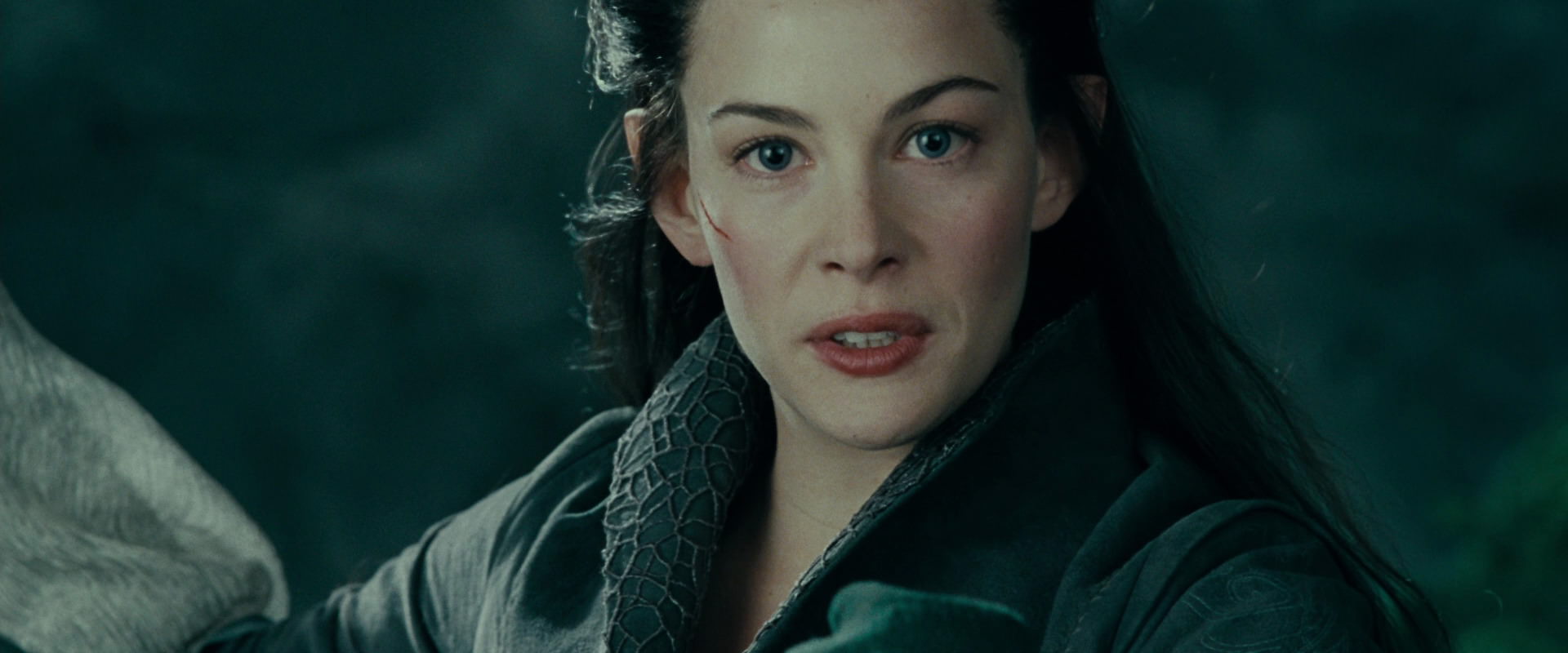 The Lord of the Rings: The Fellowship of the Ring (2001) movie still 9649