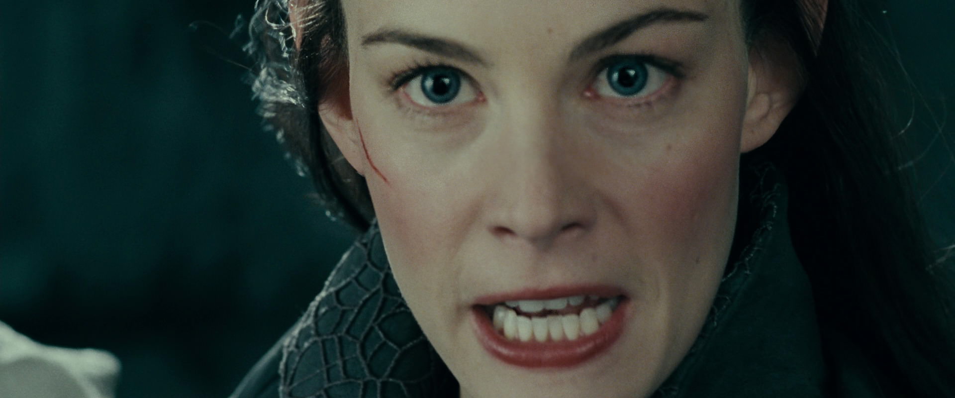 The Lord of the Rings: The Fellowship of the Ring (2001) screencap 9651