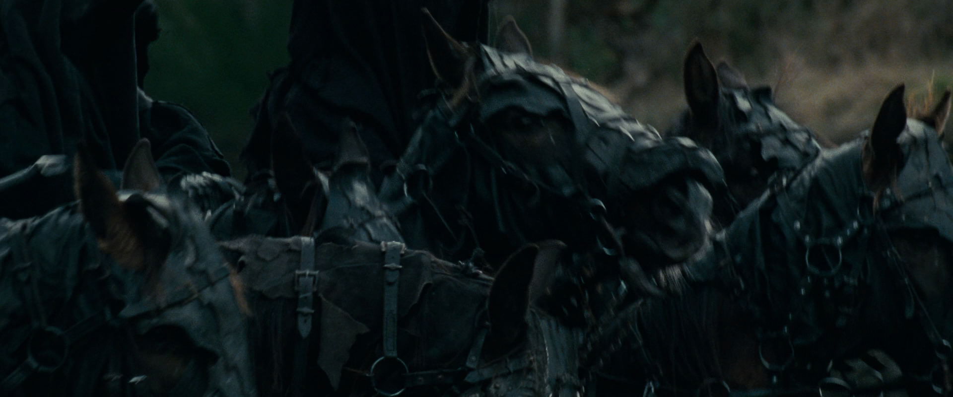 The Lord of the Rings: The Fellowship of the Ring (2001) HD screenshot 9653