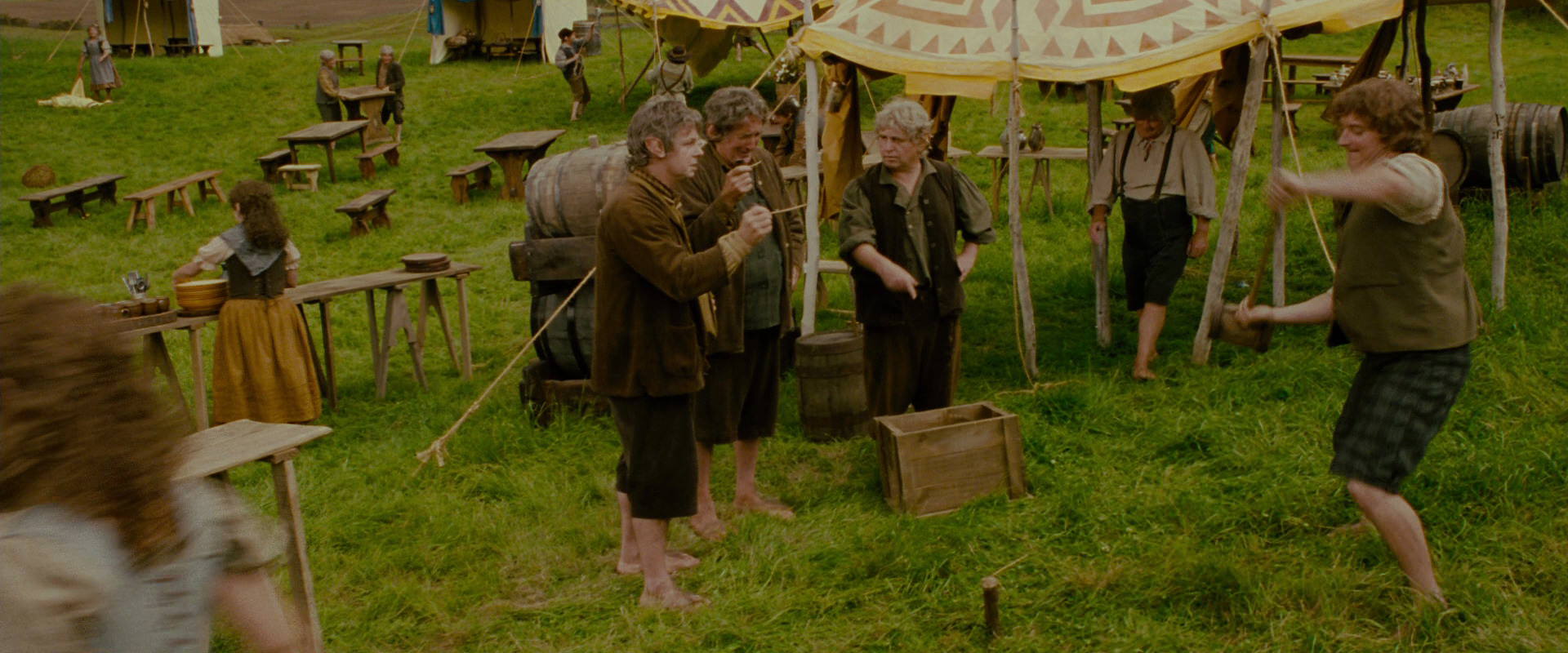 The Lord of the Rings: The Fellowship of the Ring (2001) screencap 966