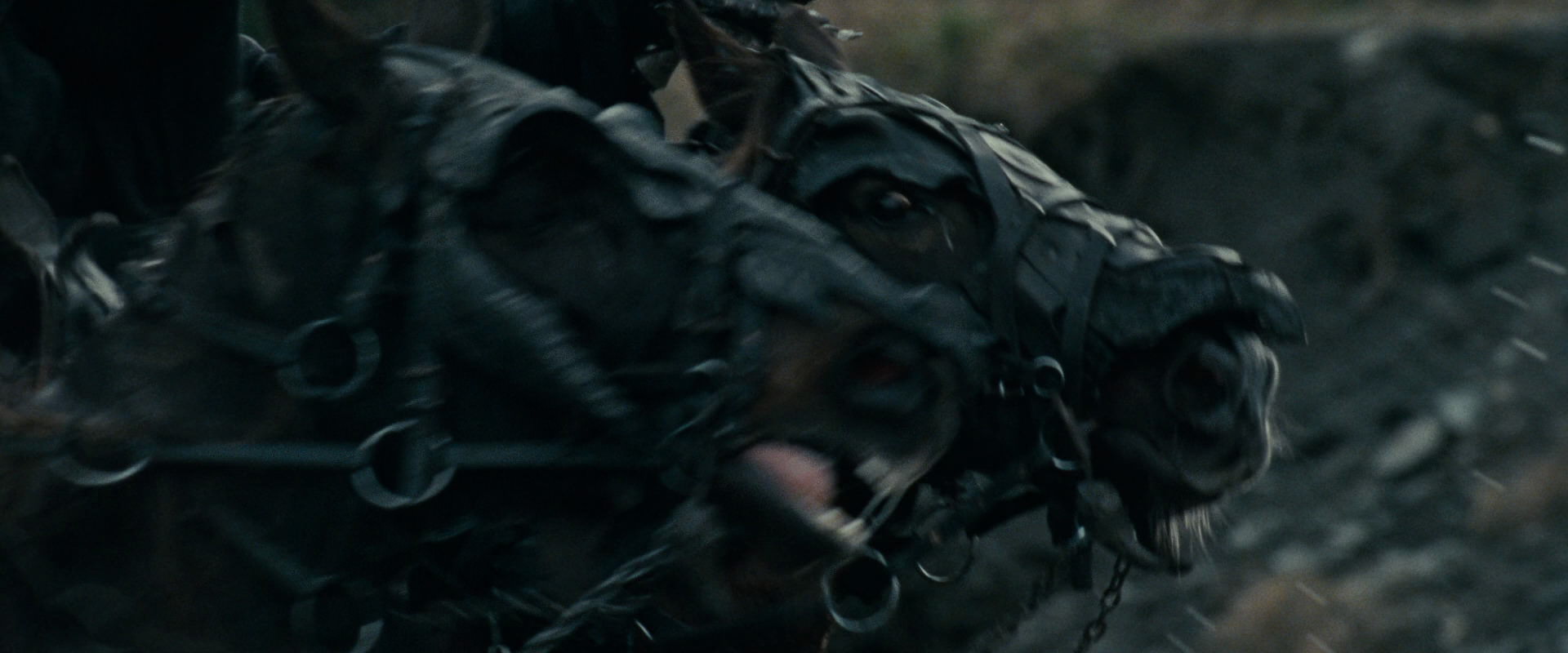 The Lord of the Rings: The Fellowship of the Ring (2001) screencap 9663