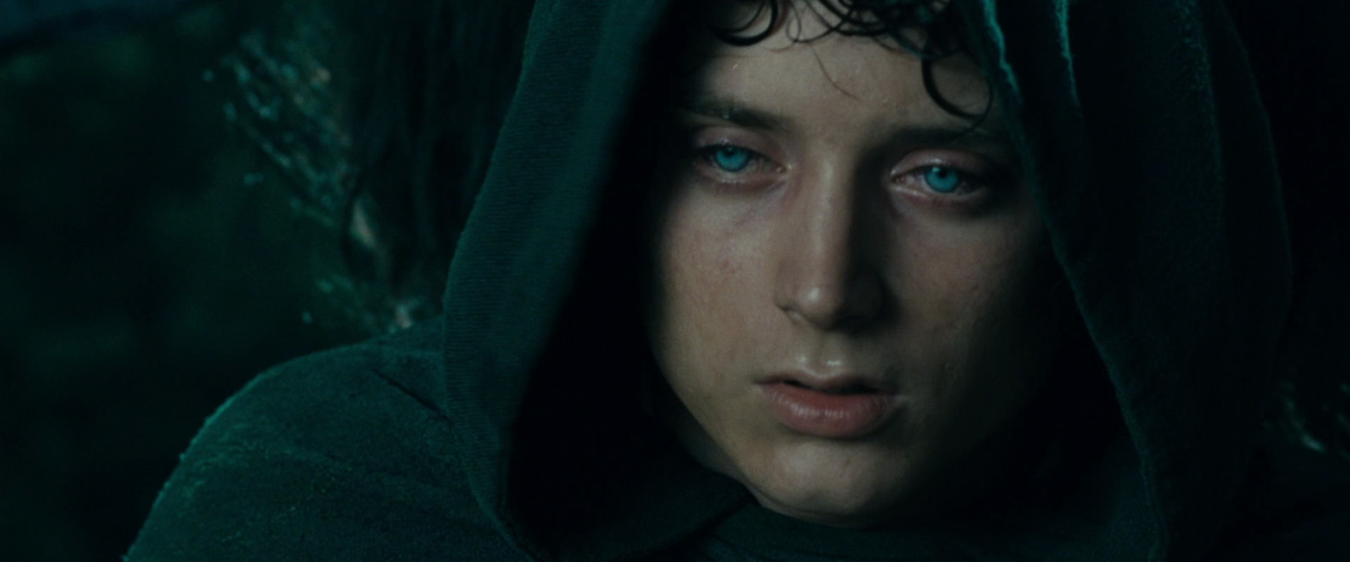 The Lord of the Rings: The Fellowship of the Ring (2001) screencap 9669