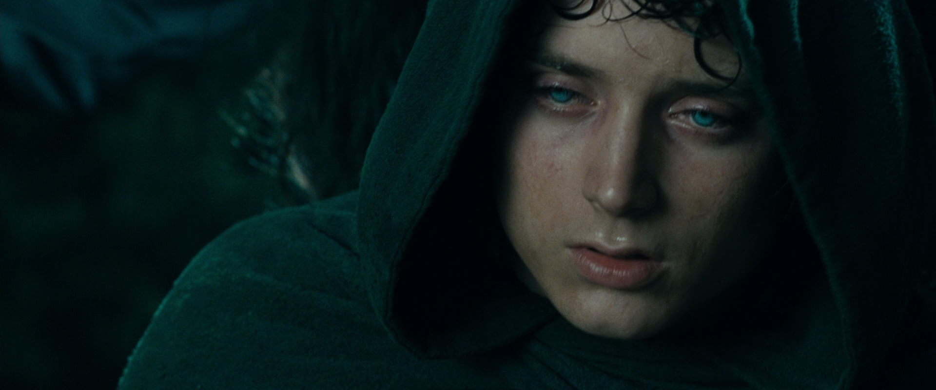 The Lord of the Rings: The Fellowship of the Ring (2001) movie still 9670