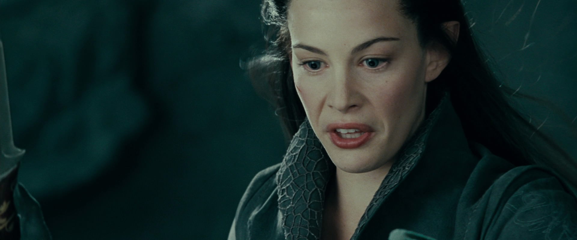 The Lord of the Rings: The Fellowship of the Ring (2001) screencap 9678