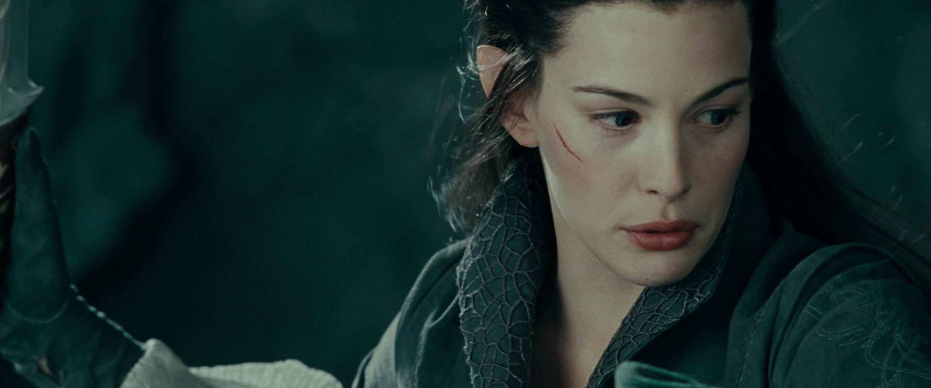 The Lord of the Rings: The Fellowship of the Ring (2001) HD screenshot 9680
