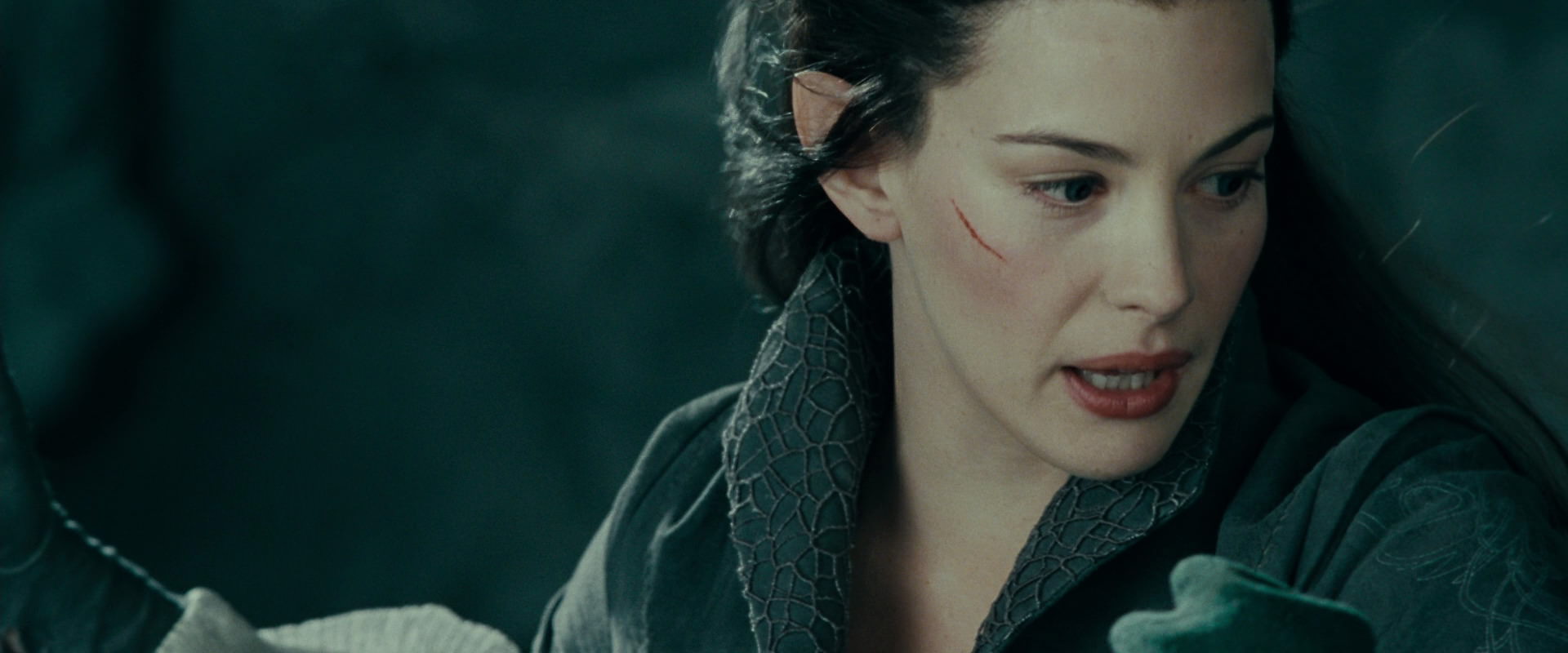 The Lord of the Rings: The Fellowship of the Ring (2001) screencap 9681