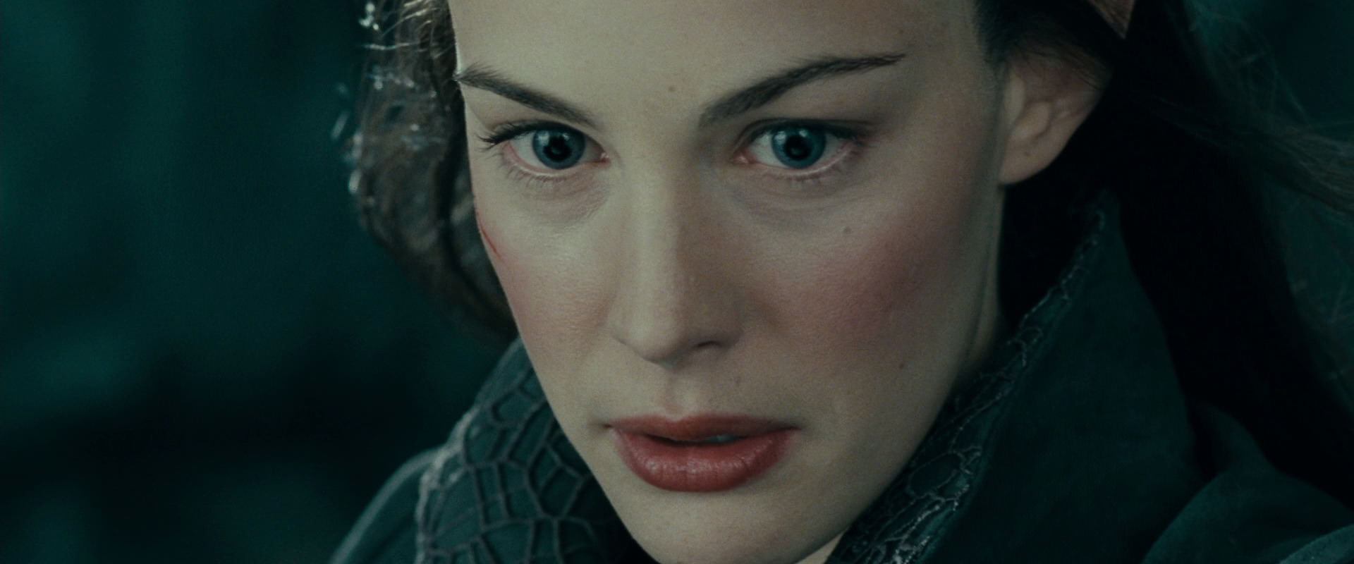 The Lord of the Rings: The Fellowship of the Ring (2001) screencap 9687