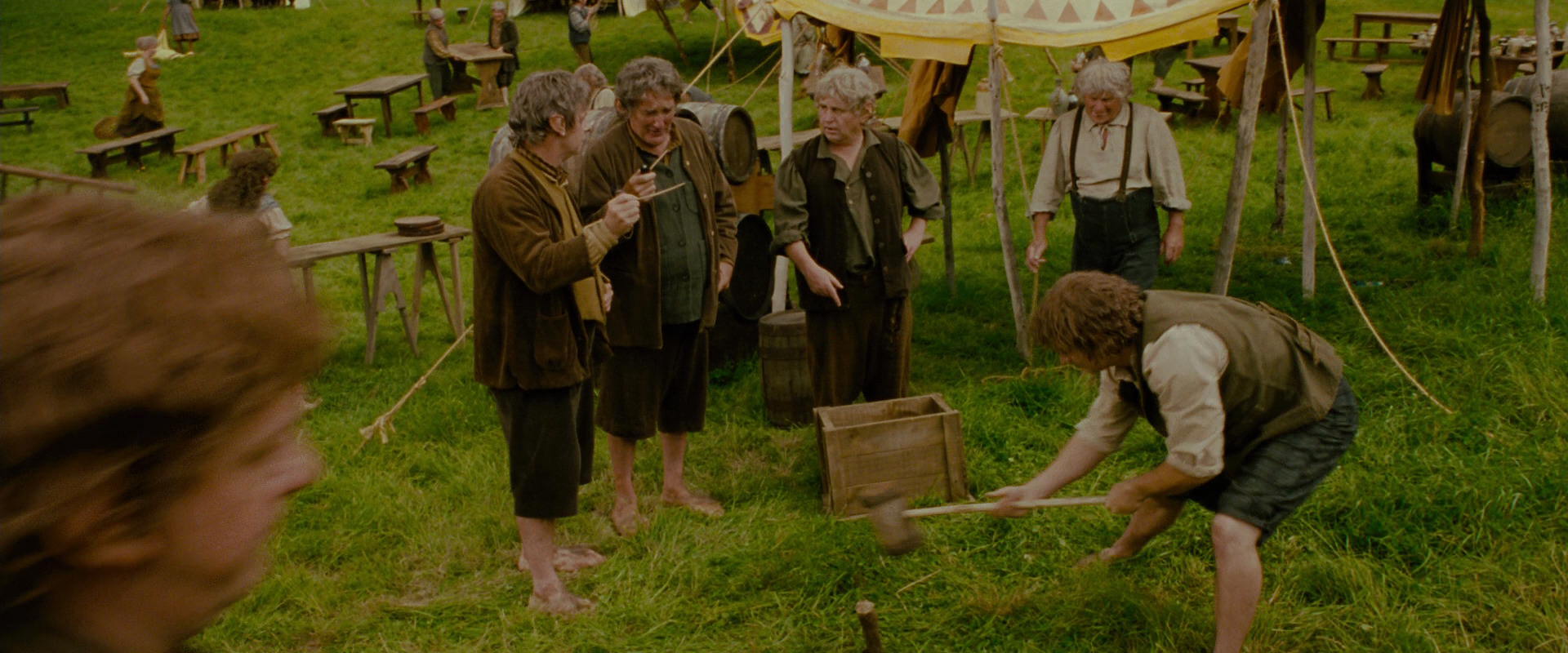 The Lord of the Rings: The Fellowship of the Ring (2001) screencap 969