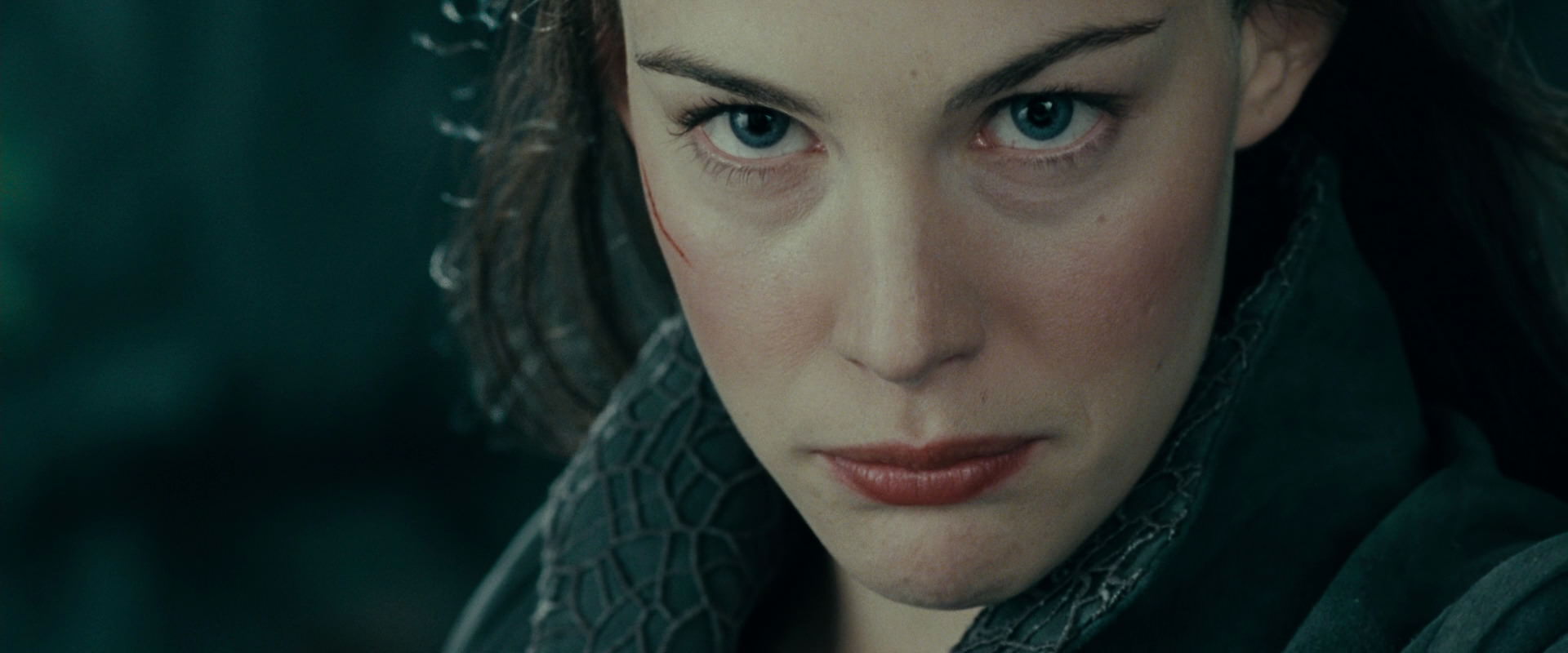 The Lord of the Rings: The Fellowship of the Ring (2001) screencap 9696