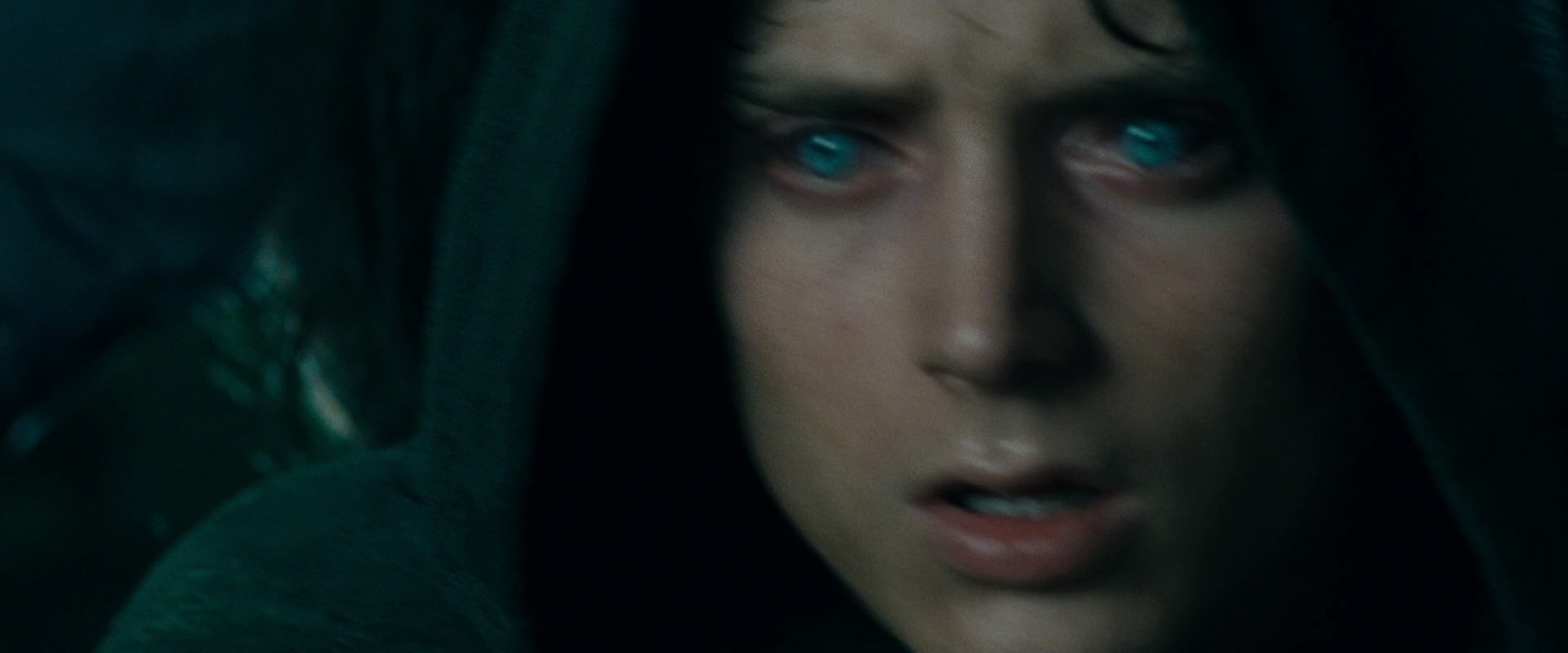 The Lord of the Rings: The Fellowship of the Ring (2001) movie still 9727