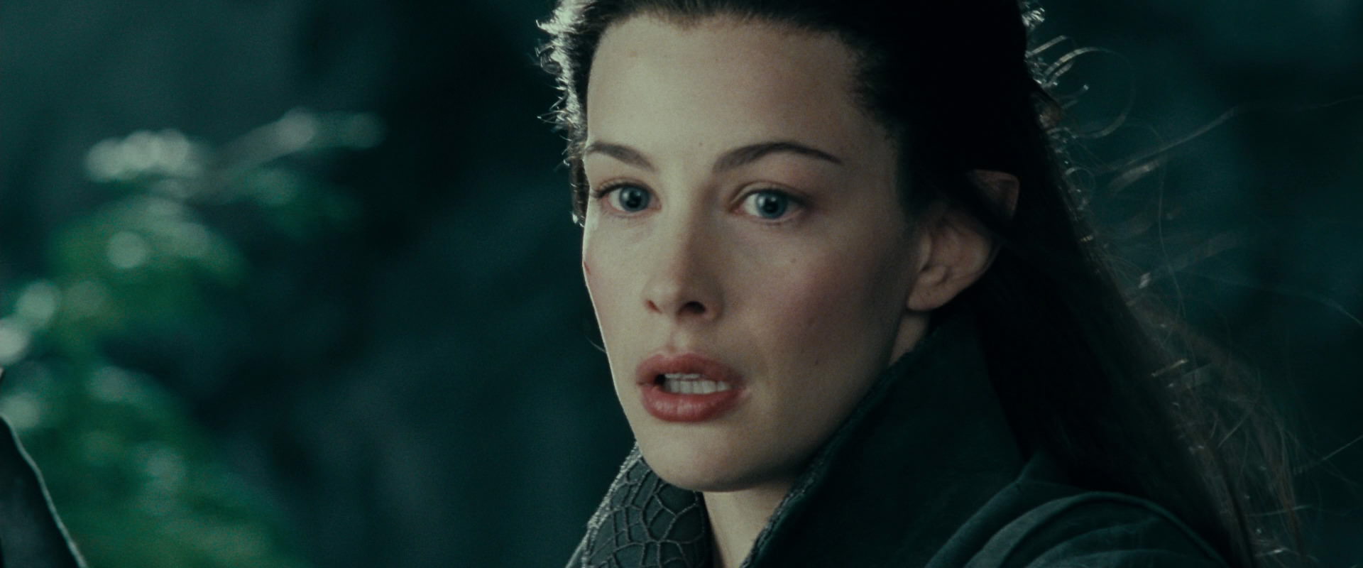 The Lord of the Rings: The Fellowship of the Ring (2001) HD screenshot 9737