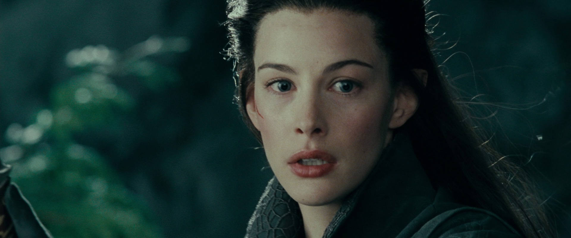 The Lord of the Rings: The Fellowship of the Ring (2001) screencap 9738