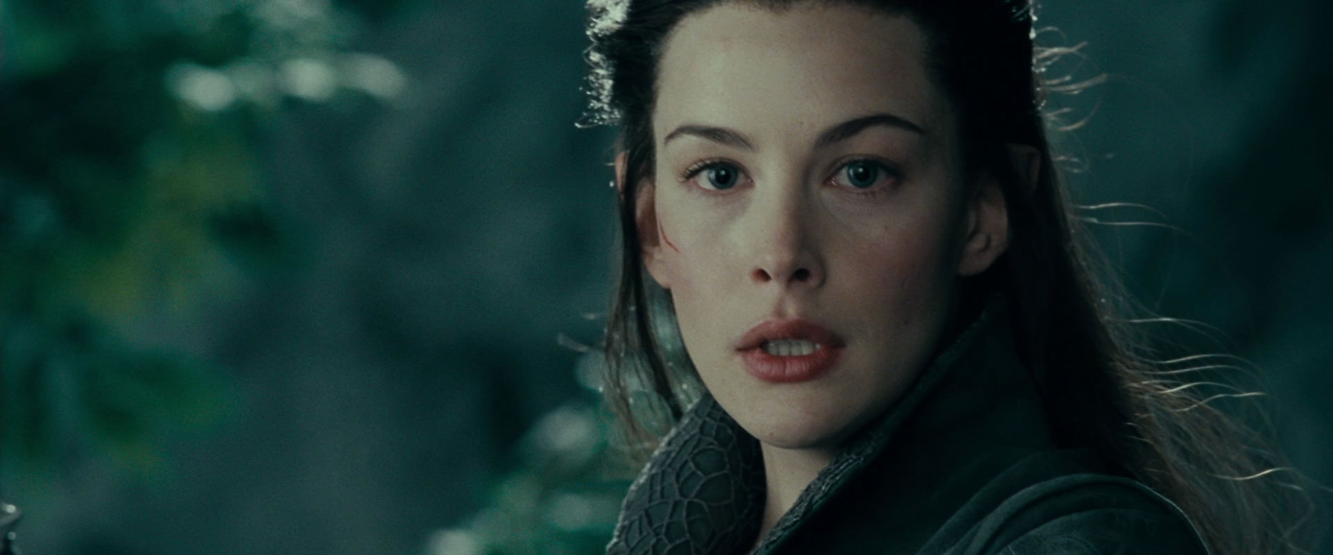 The Lord of the Rings: The Fellowship of the Ring (2001) movie still 9748