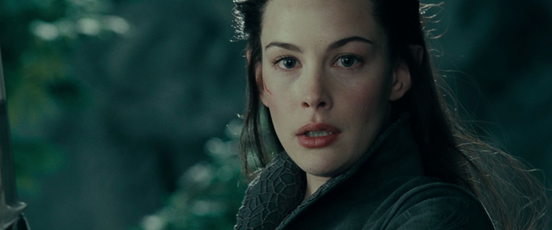 The Lord of the Rings: The Fellowship of the Ring (2001) HD screenshot 9749