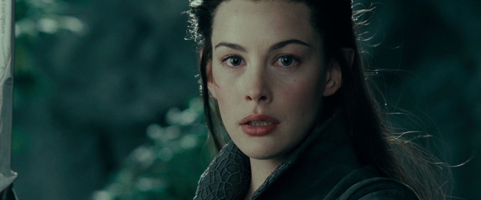 The Lord of the Rings: The Fellowship of the Ring (2001) screencap 9750