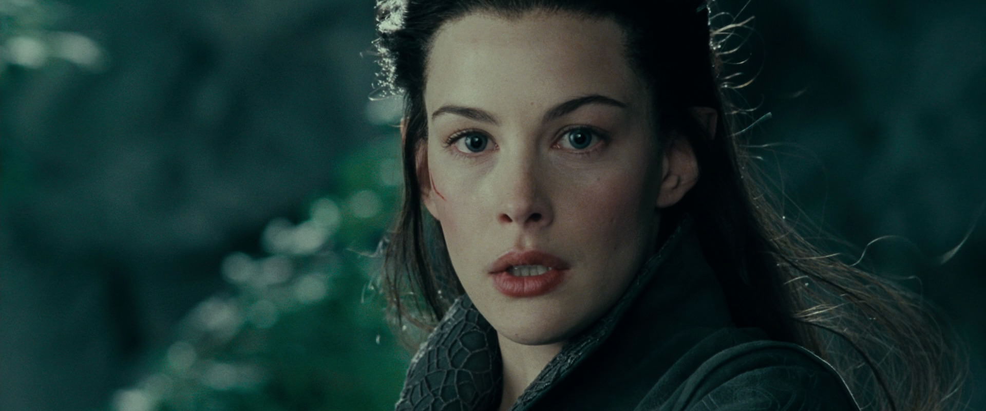 The Lord of the Rings: The Fellowship of the Ring (2001) movie still 9751