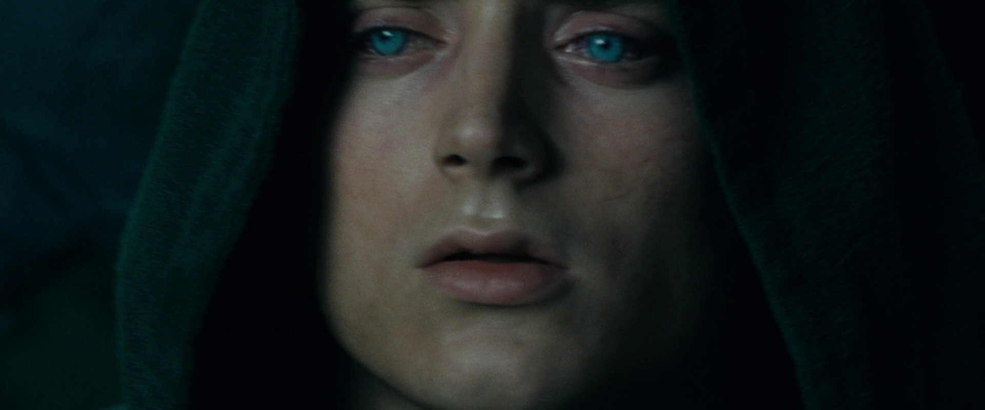 The Lord of the Rings: The Fellowship of the Ring (2001) HD screenshot 9752