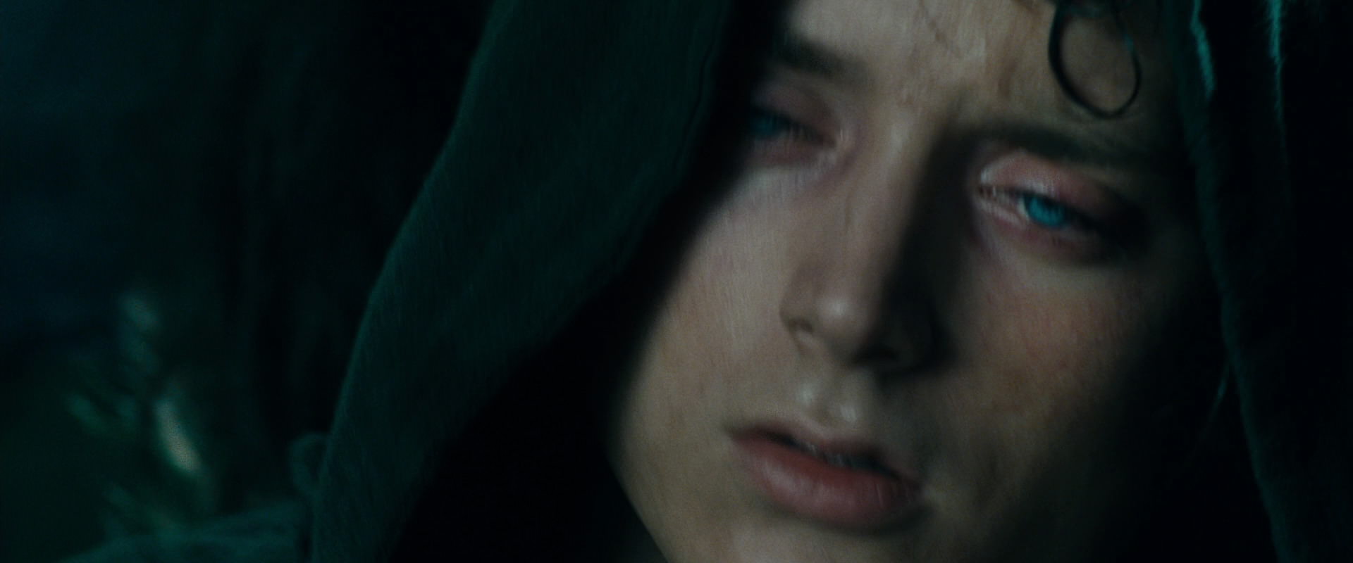 The Lord of the Rings: The Fellowship of the Ring (2001) screencap 9753