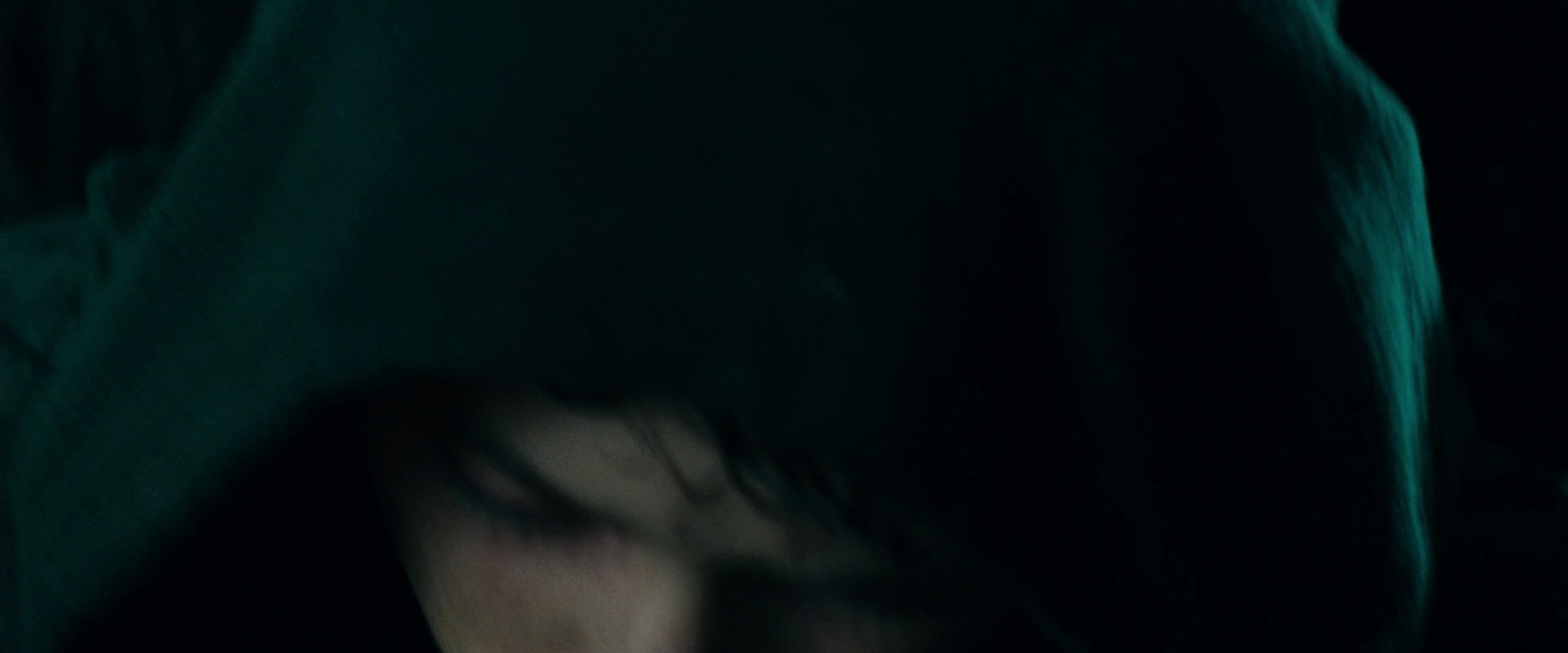 The Lord of the Rings: The Fellowship of the Ring (2001) screencap 9756