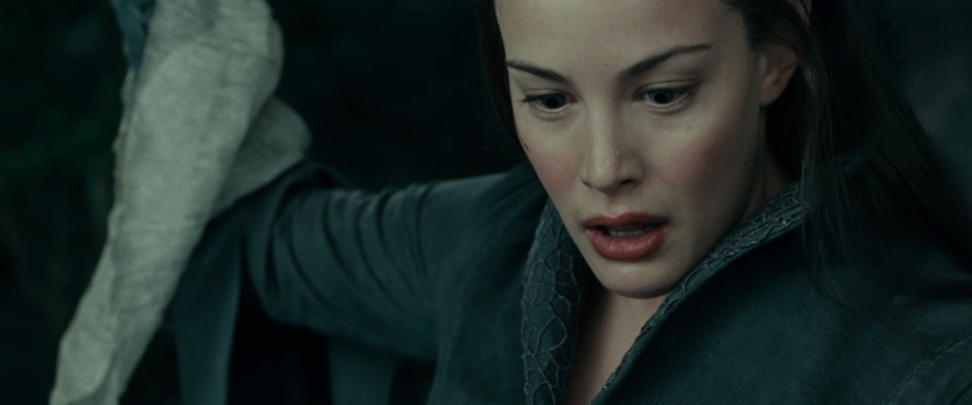 The Lord of the Rings: The Fellowship of the Ring (2001) HD screenshot 9758