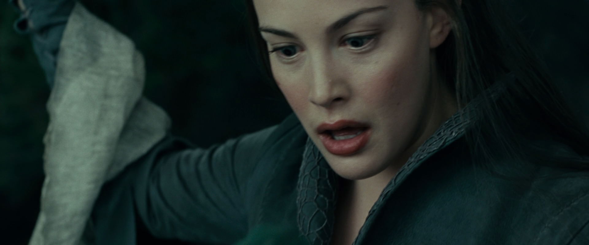 The Lord of the Rings: The Fellowship of the Ring (2001) screencap 9759