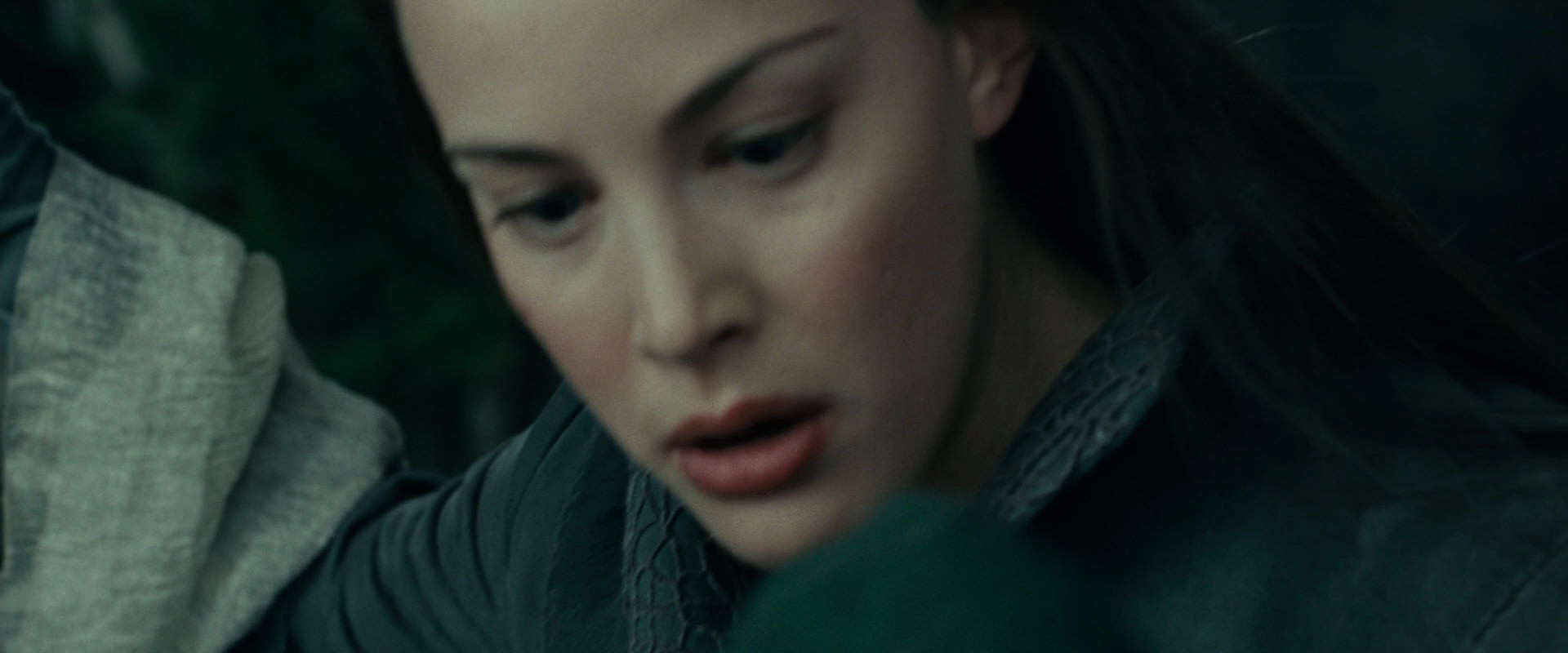 The Lord of the Rings: The Fellowship of the Ring (2001) HD screenshot 9761