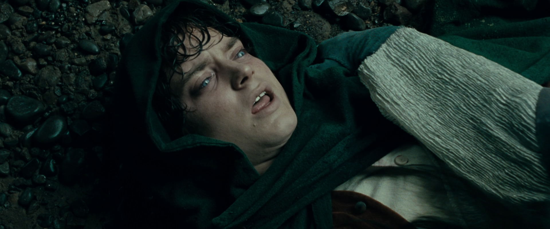 The Lord of the Rings: The Fellowship of the Ring (2001) movie still 9769